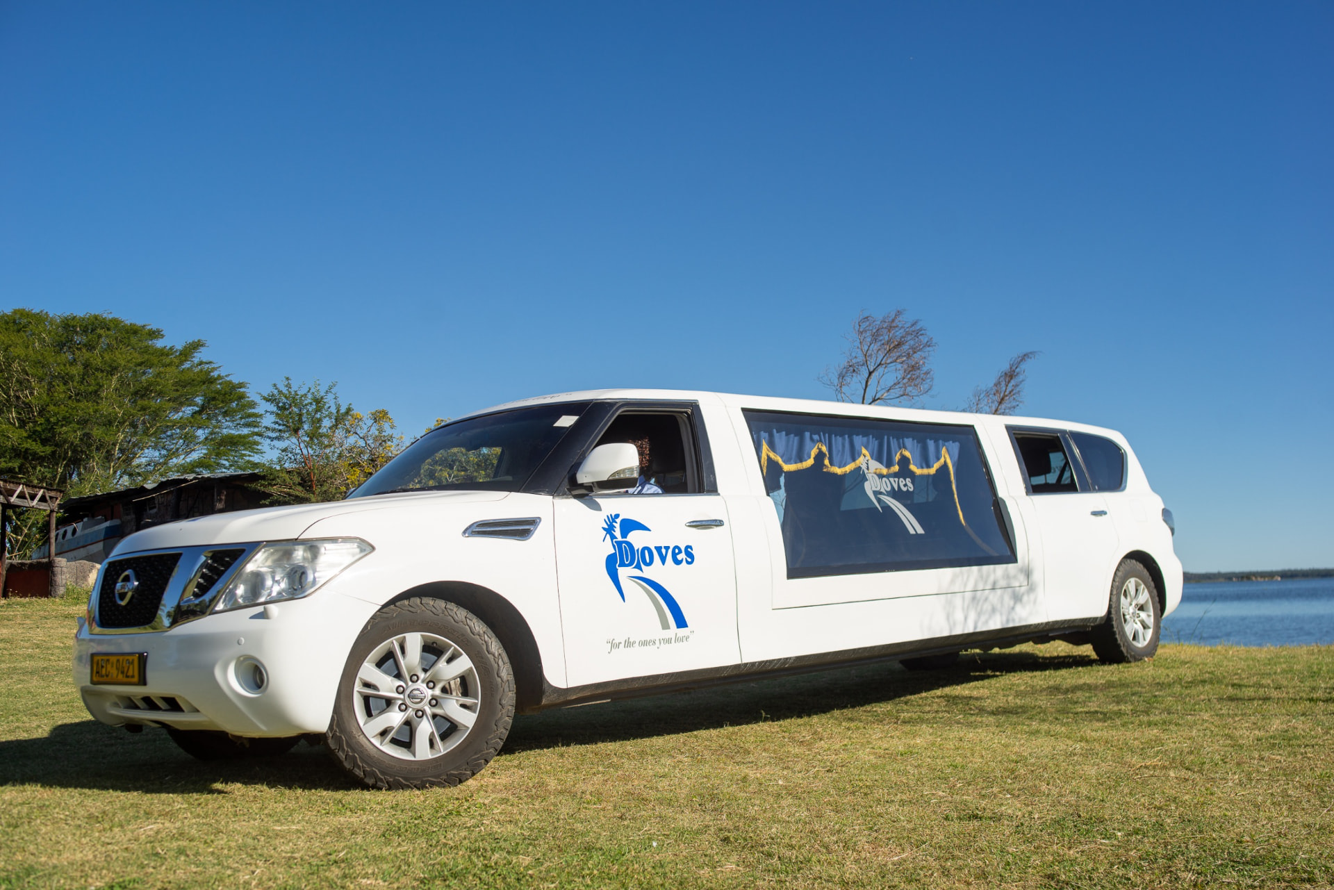 Doves limousine hearse