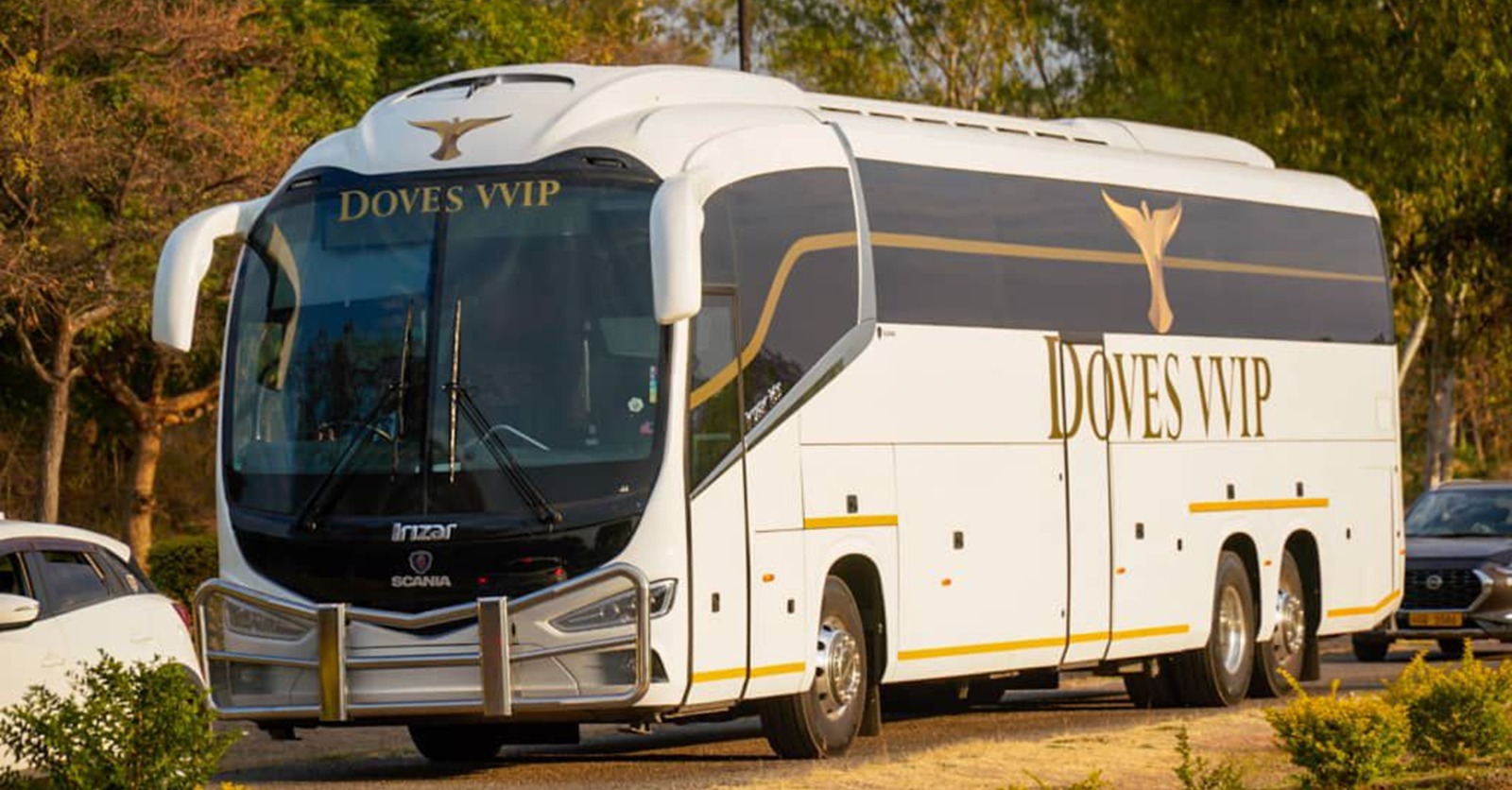 Doves VVIP coach
